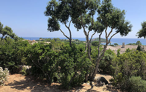 Location villa de luxe en Corse-du-Sud, vue sur la mer